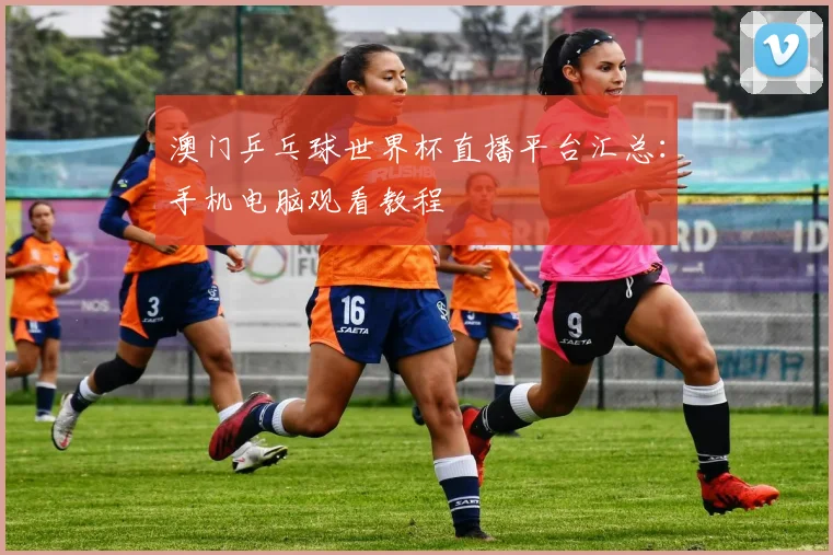 澳门乒乓球世界杯直播平台汇总：手机电脑观看教程